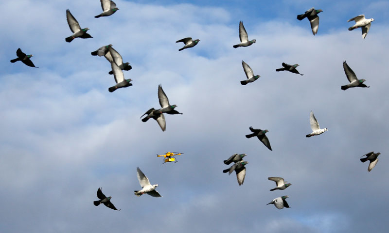 German DHL testing delivery drones