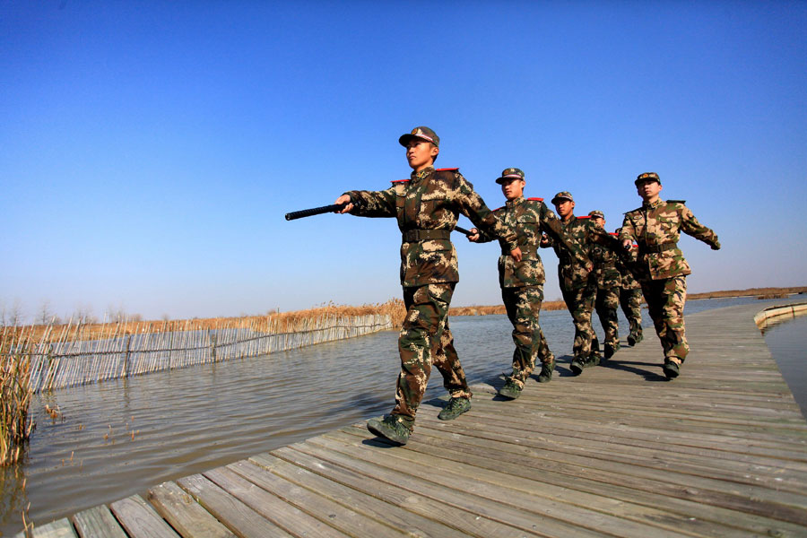 Paradise for migratory birds in E China