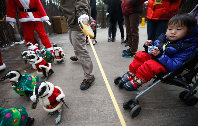 Promotional event for Christmas in South Korea