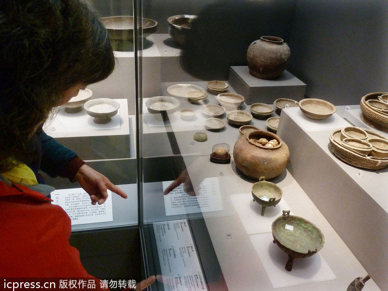 2,800-year-old fossilized eggs exhibited