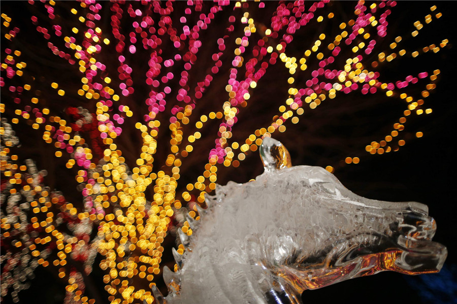 'ZooLights' at Chicago's Lincoln Park Zoo