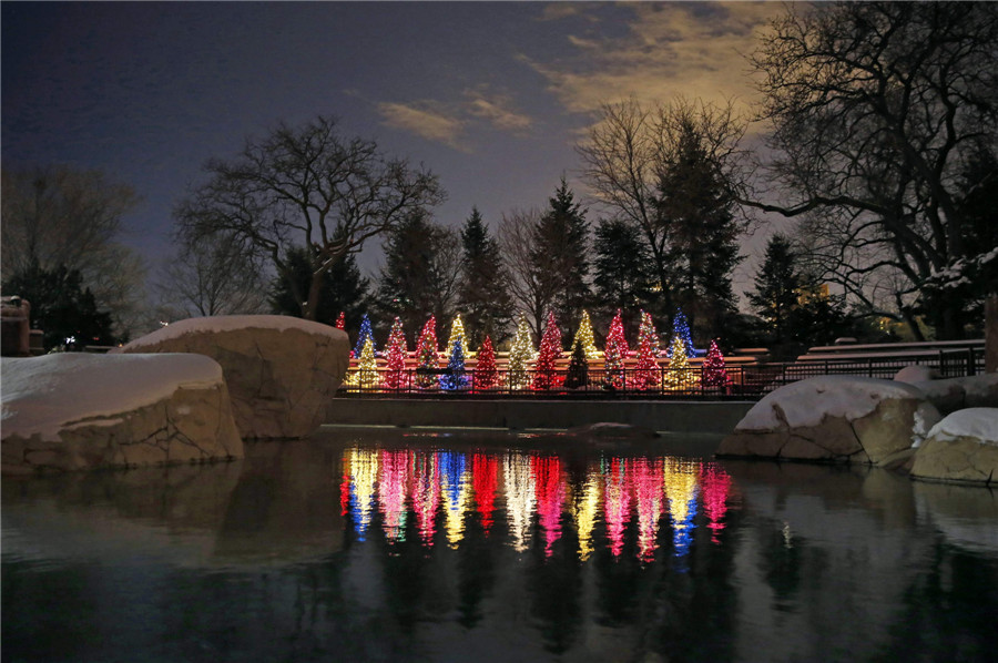 'ZooLights' at Chicago's Lincoln Park Zoo