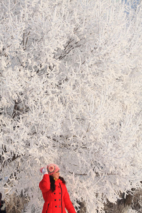 The heaven of rime in NE China