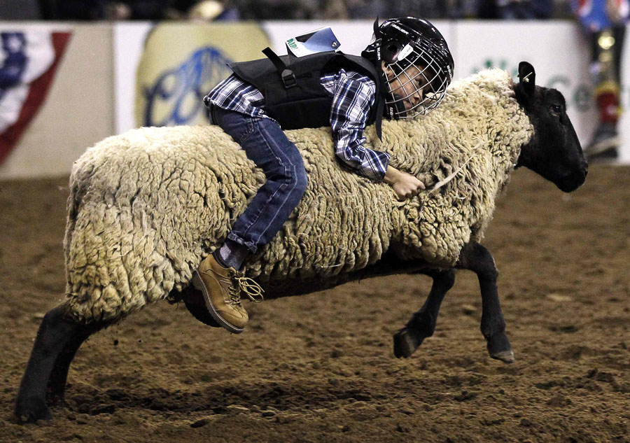 Young riders reign at US stock show[1]- Chinad