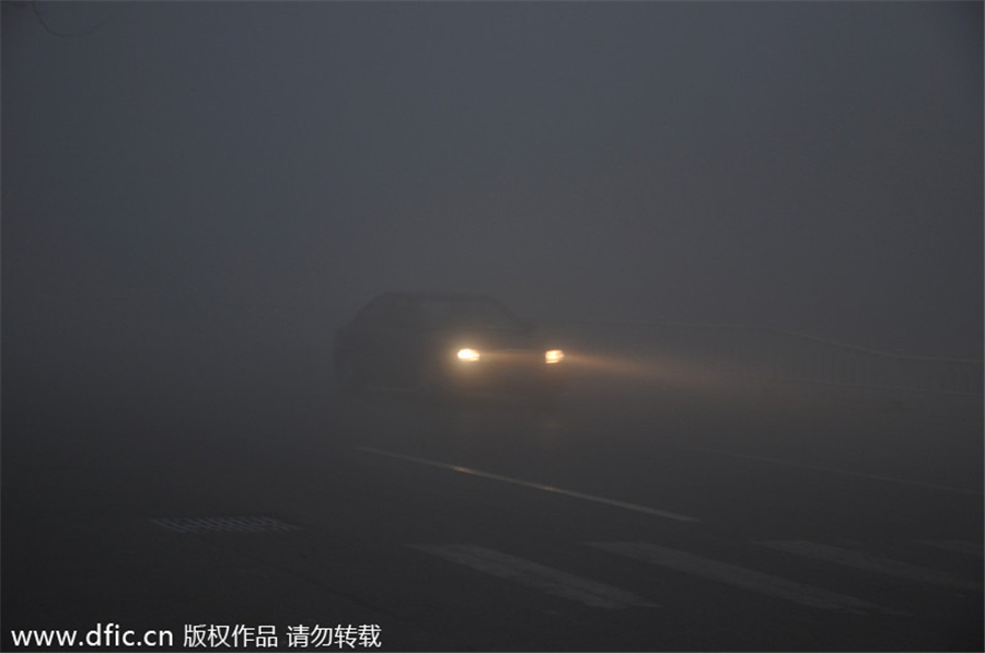 Festival travelers battle heavy fog