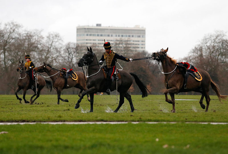 Royal salute