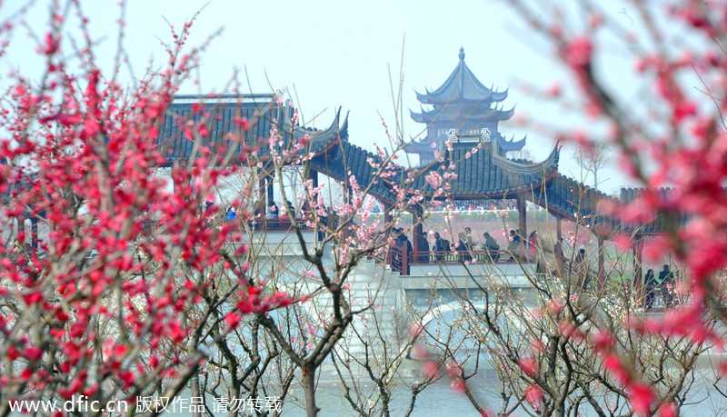 Central, East China embrace spring