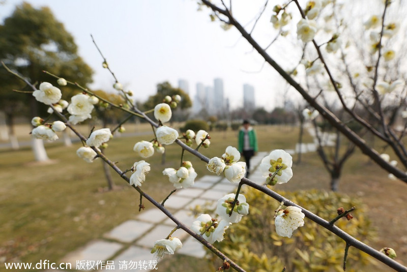 Central, East China embrace spring