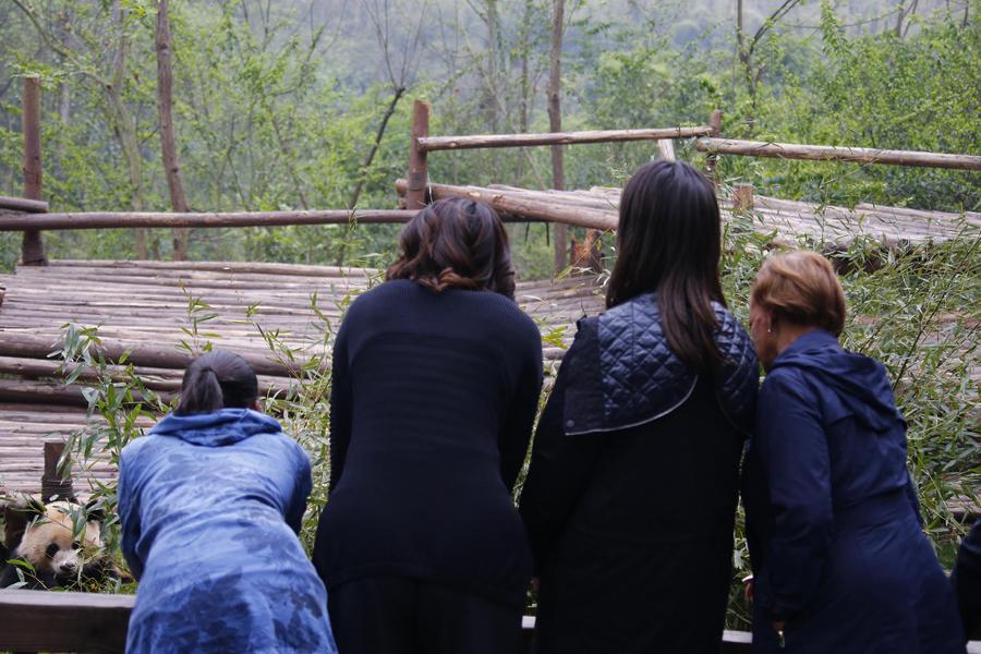 US first lady visits giant pandas