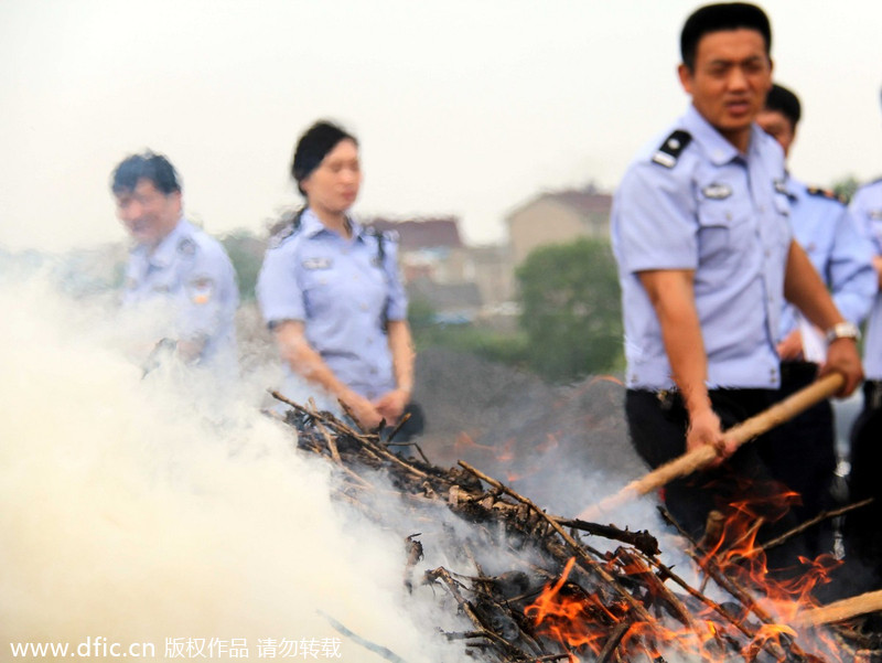 China's regions battle against drugs