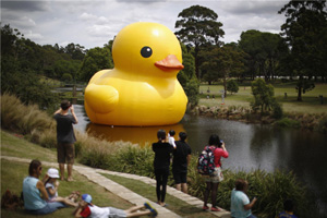 Bare pear results from rubber duck robbery