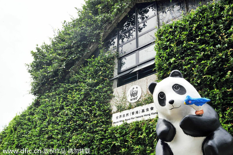 Paper pandas continue tour in Hong Kong