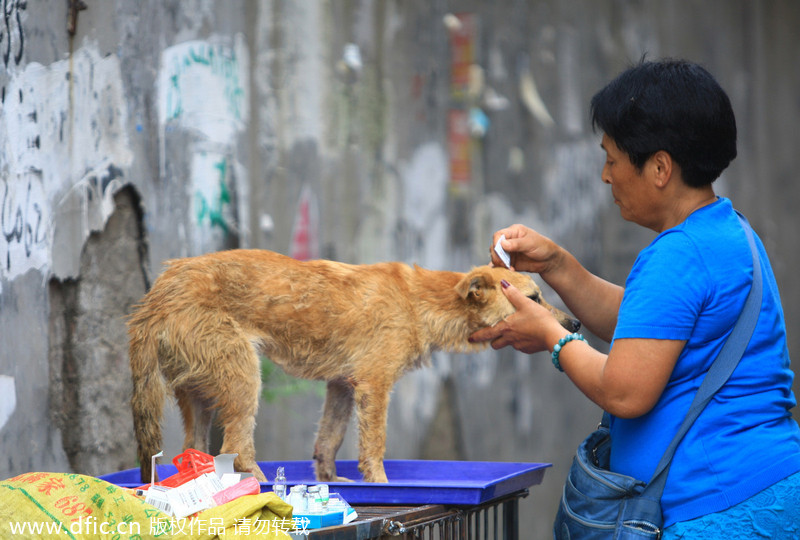 Yulin dog meat vendors make money off activists