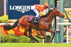 Horsemen thunder at Sichuan event