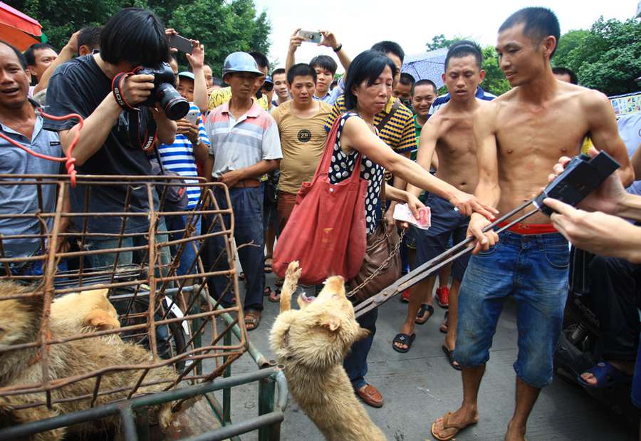 Yulin dog meat vendors make money off activists