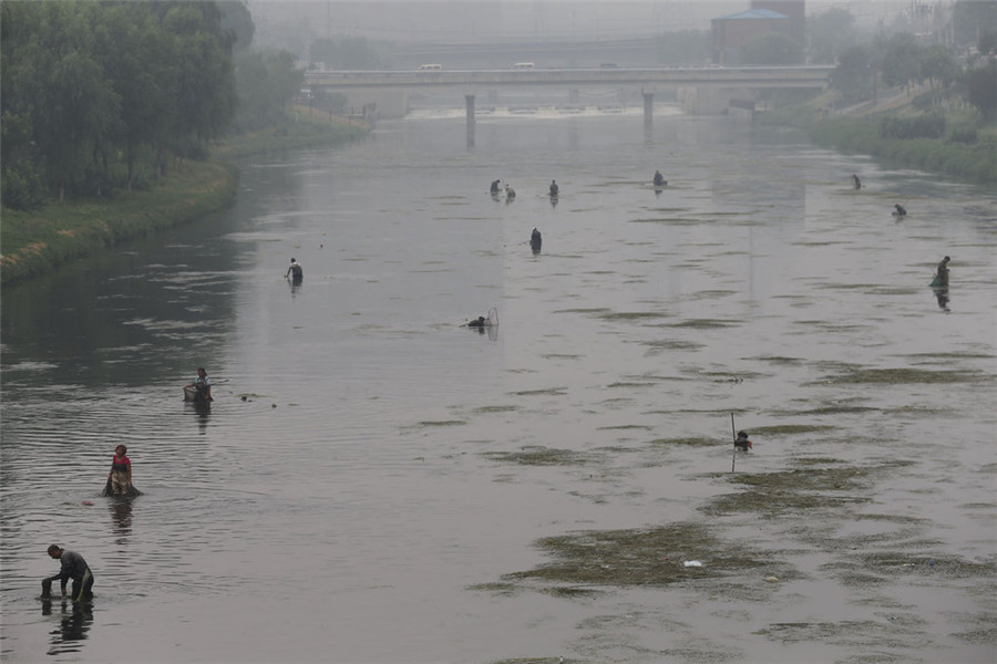 The worm catcher in the river