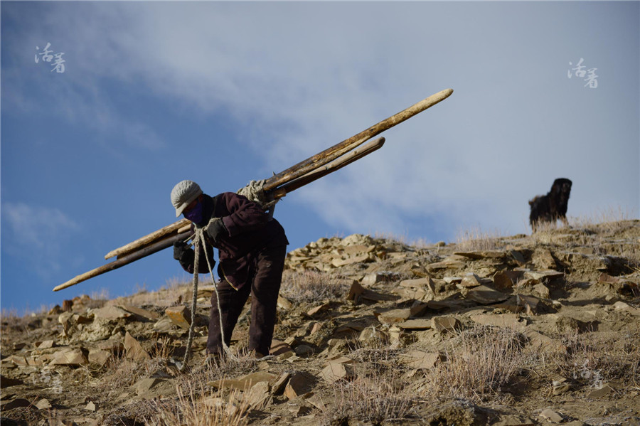 Life in Tibet's rooftop village