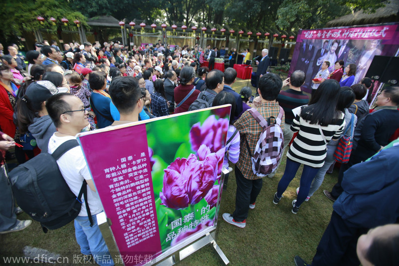 Precious tulips plundered in Central China