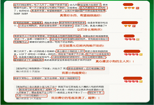 多特思——做宠物行业的规则改变者