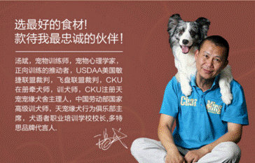 多特思——做宠物行业的规则改变者