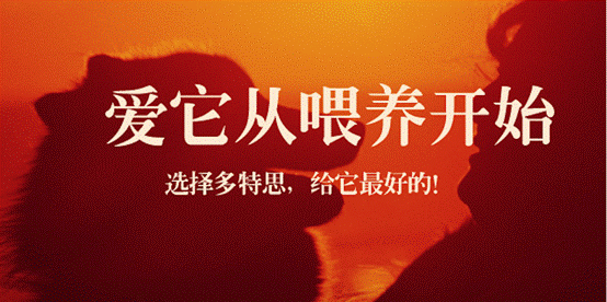 多特思——做宠物行业的规则改变者