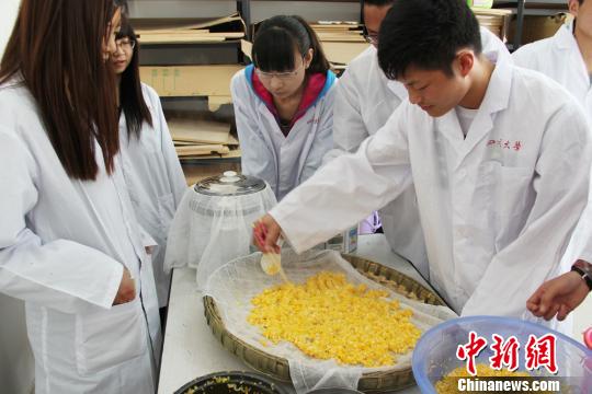 四川成立酿酒产学研联盟18家酒企成实习基地