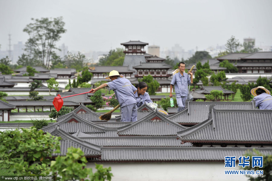 高清组图：雨后草疯长“巨人”来清扫