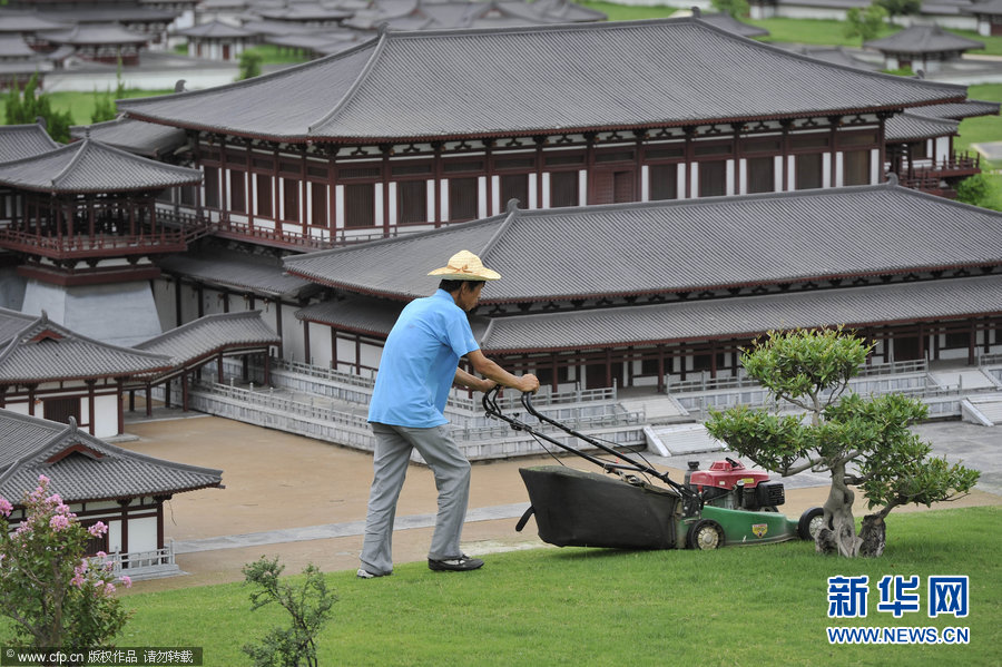 高清组图：雨后草疯长“巨人”来清扫