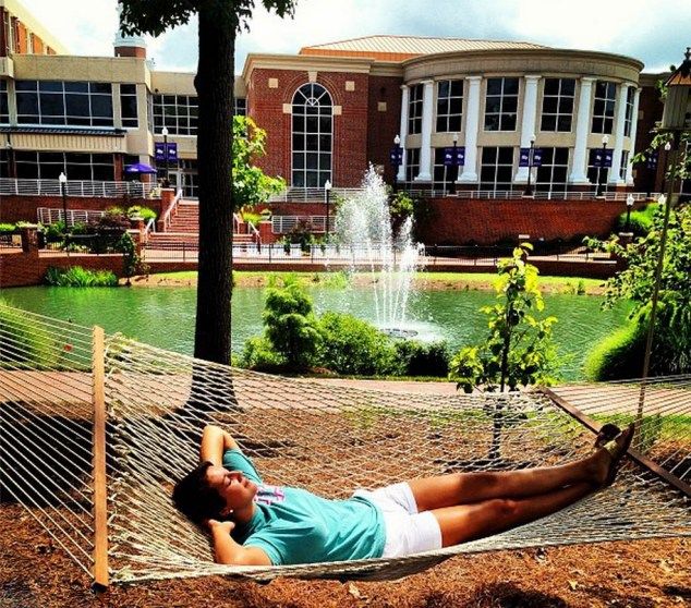 美国上市公司怎么分红