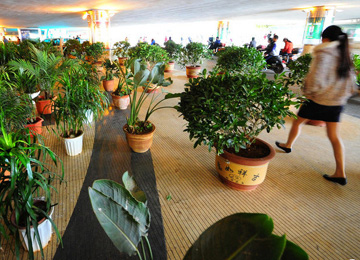 速推线下业务 支付宝接入便利店近两万家