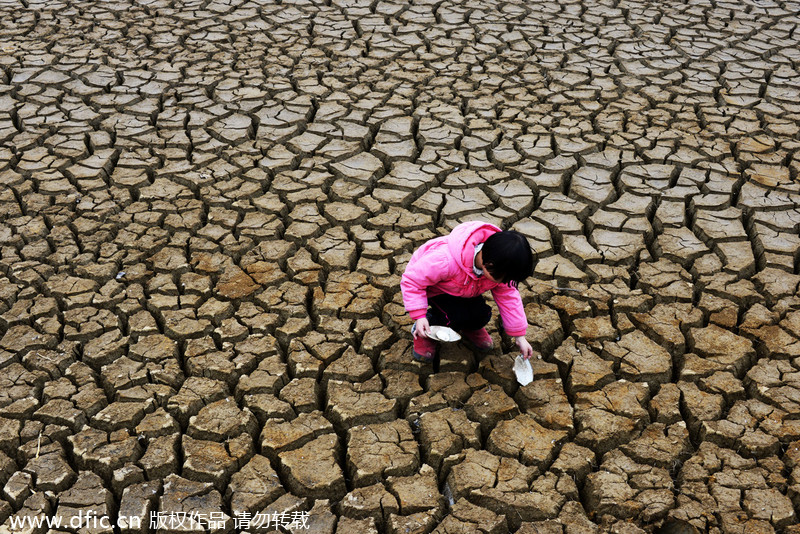 四大银行下调快捷支付限额 称保客户资金安全