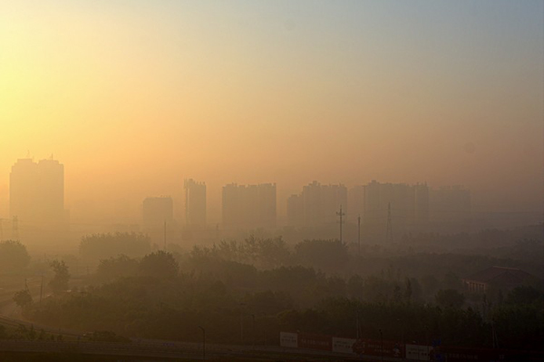 豆尔文：今天你清肺了么