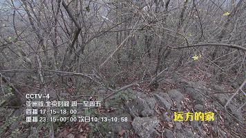 德丰利达南阳淅川坐禅谷景区登陆CCTV-4
