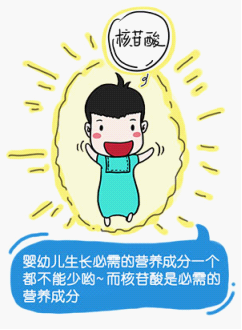 进口什么奶粉最好最安全：了解配方里的免疫成员