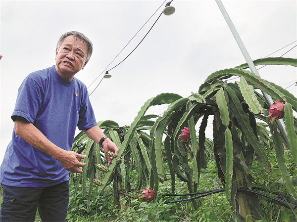 Rural vitalization helps residents live better