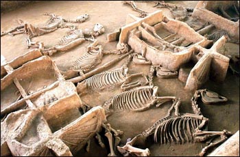 Tianzijialiu chariot shows king's life