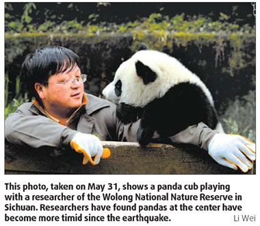 Panda safety main concern of rangers