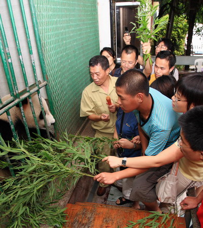 Pandas moving to new home