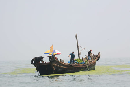 Algae cleared, Olympic sailors begin to practise normally in Qingdao