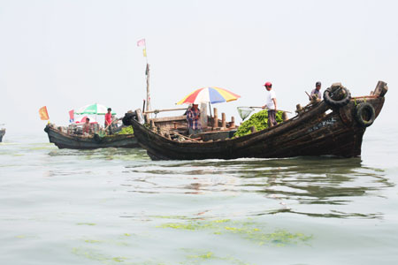 Algae cleared, Olympic sailors begin to practise normally in Qingdao