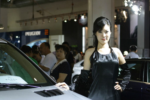 Auto exhibition opens in Dalian