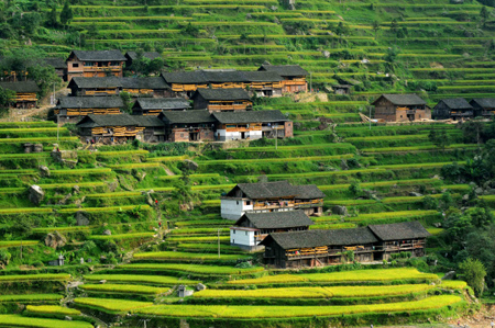 Shui people celebrate traditional Duan festival
