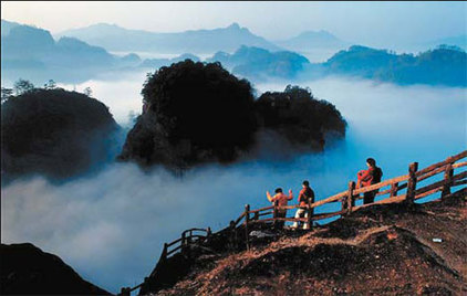 Teatime for tourists