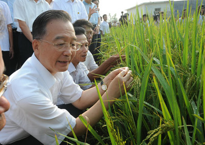 Chinese Premier inspects southwest Guangxi