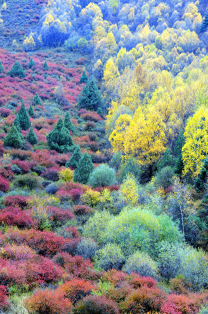 Mt. Qilian presents appealing autumn view