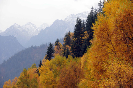 Mt. Qilian presents appealing autumn view