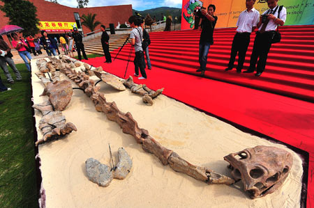 Yunnan donates dinosaur fossil to Hong Kong