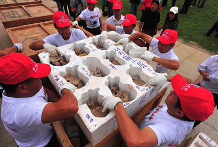 Yunnan donates dinosaur fossil to Hong Kong