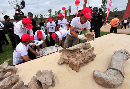 Yunnan donates dinosaur fossil to Hong Kong