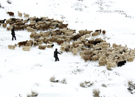 Heavy snowfall in Xinjiang Uygur autonomous region